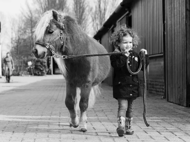 Een meisje met krullend haar leidt een pony met een halster en touw op een pad.