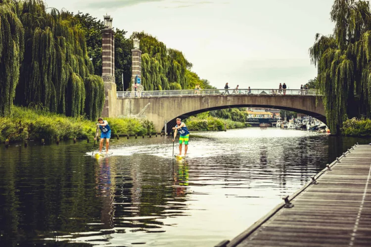 Twee mensen die stand up paddleboarden op een rivier met een brug op de achtergrond.